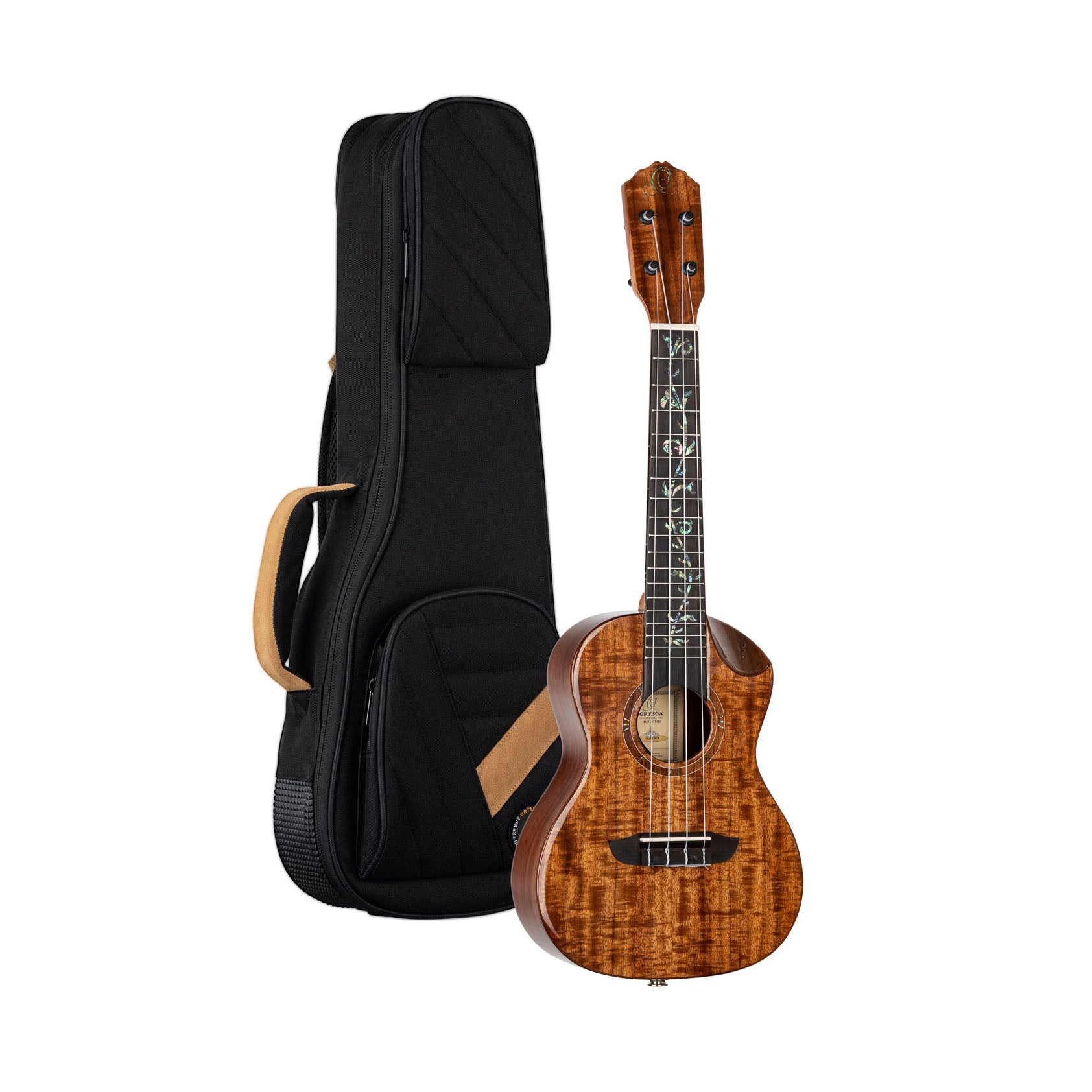 Ortega - RUET-ACA Concert Elite Acacia - Musik Utan Gränser 