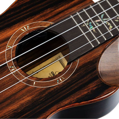 Ortega - RUET-EB Concert Elite Ebony - Musik Utan Gränser 