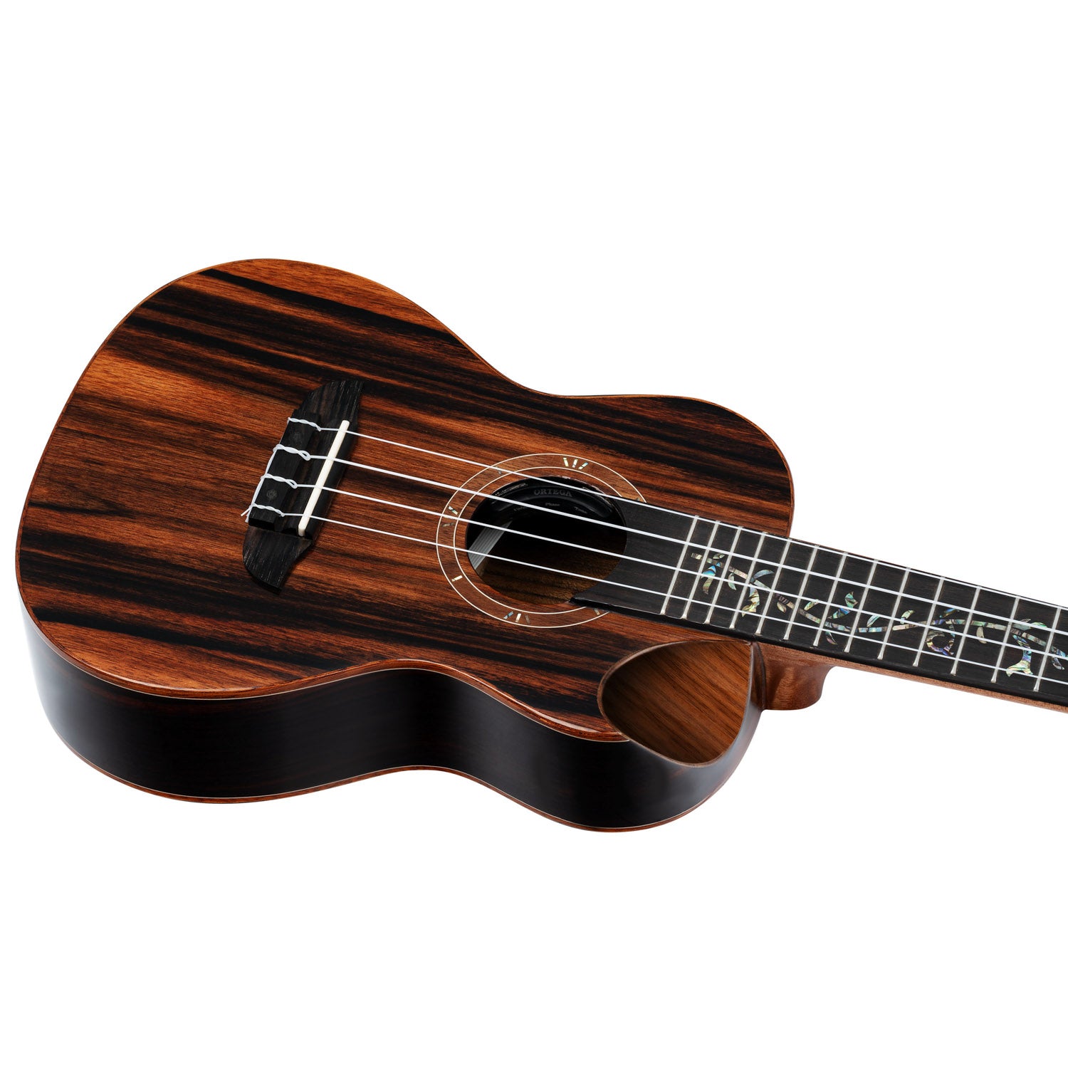 Ortega - RUET-EB Concert Elite Ebony - Musik Utan Gränser 