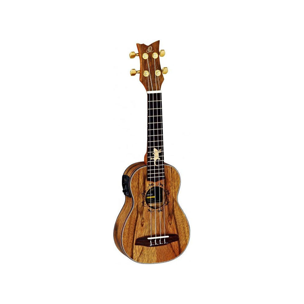 Ortega - LIZARD-CC-GB Concert - Musik Utan Gränser 