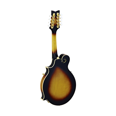 Ortega - RMFE90TS F-Style - Musik Utan Gränser 