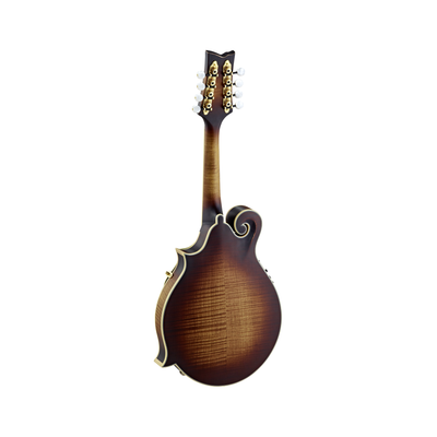 Ortega - RMFE100AVO F-Style - Musik Utan Gränser 