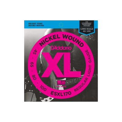 ESXL170 Light 045–100 Double Ball