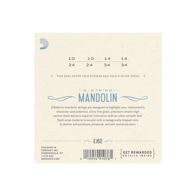 EJ62 Mandolin Bronze 010–034 Light