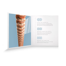 Ladda upp bild till gallerivisning, XSM1038 Strängset Mandolin XS Phosphor Bronze 010-038 Light
