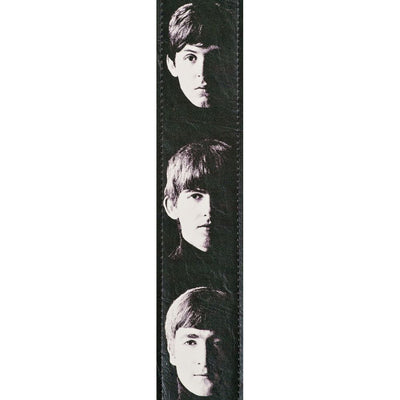 D'Addario - 25LB01 Meet The Beatles - Musik Utan Gränser 