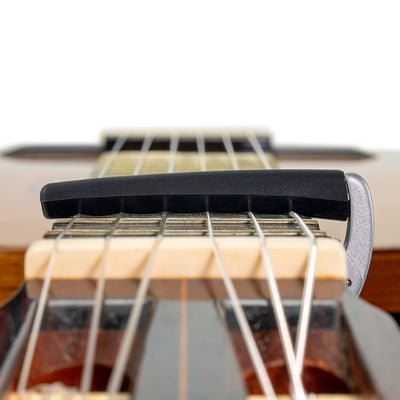 PW-CP-19S NS Capo Pro Plus Silver
