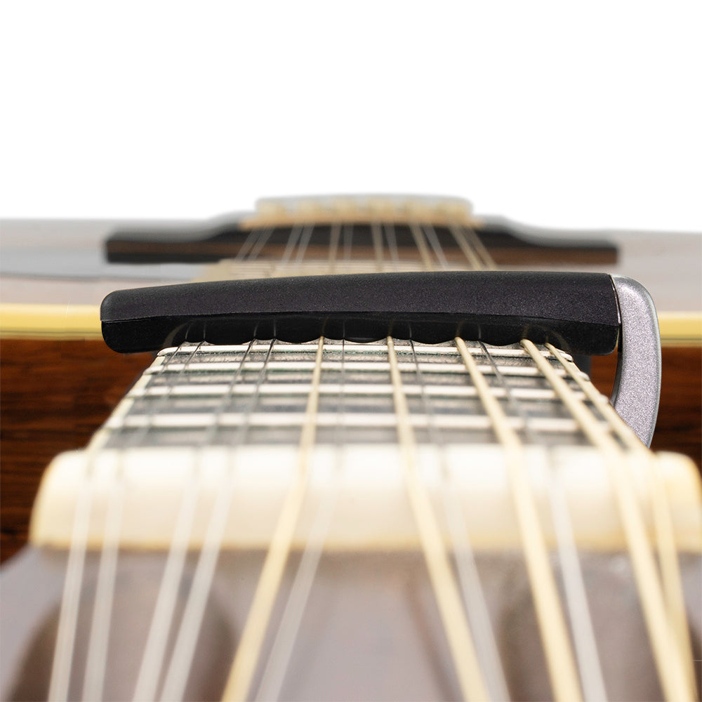 PW-CP-19S NS Capo Pro Plus Silver