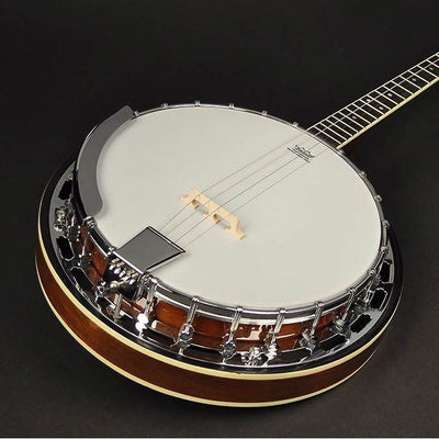 RBM-604 Heritage Series Folk 4-string