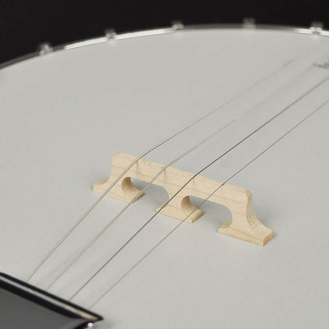 RBM-604 Heritage Series Folk 4-string