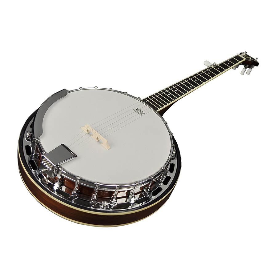 RBM-605 Heritage Series Folk 5-string