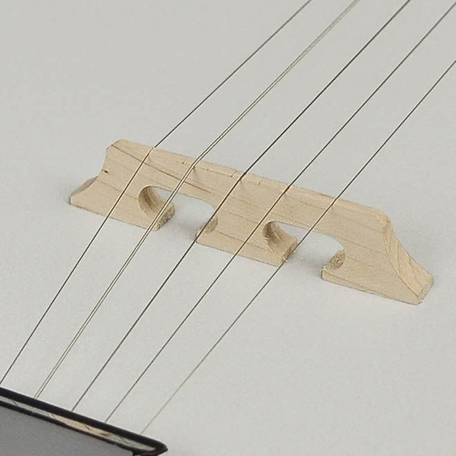 RBM-605 Heritage Series Folk 5-string