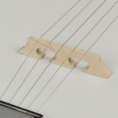 RBM-605 Heritage Series Folk 5-string