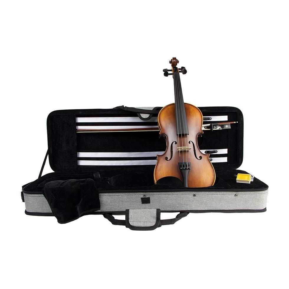 LV-1844 Elementary Series Violin 4/4