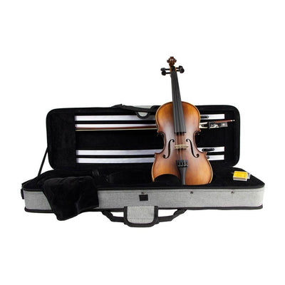 LV-1844 Elementary Series Violin 4/4