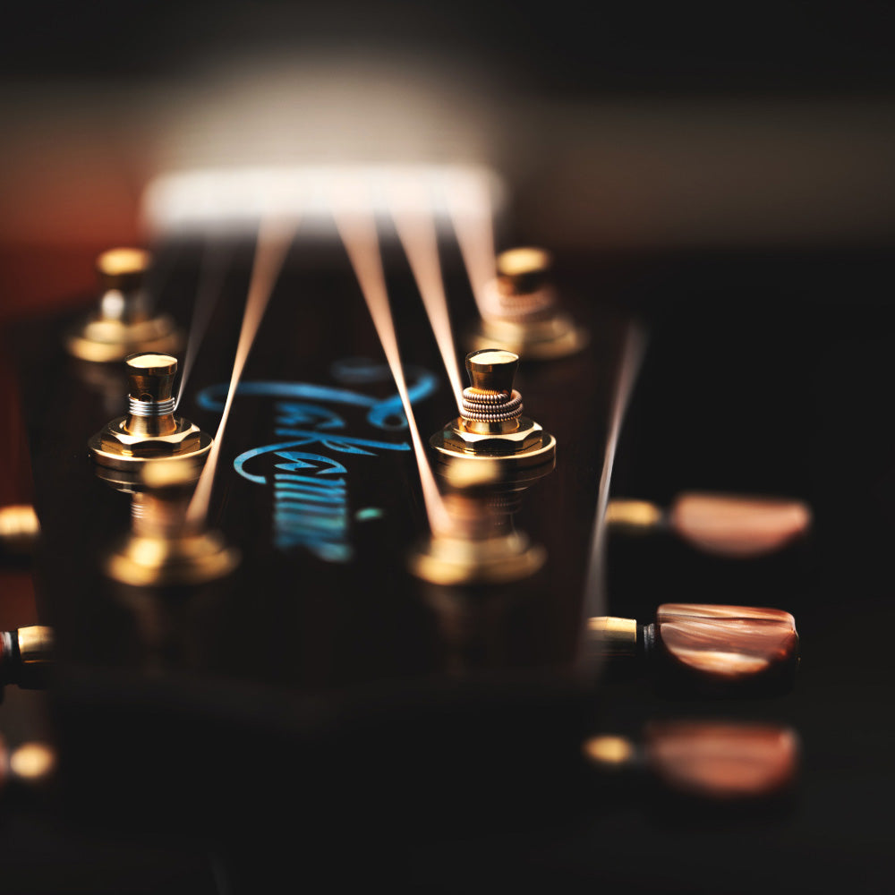 Takamine - LTD2023 Santa Fe - Musik Utan Gränser 