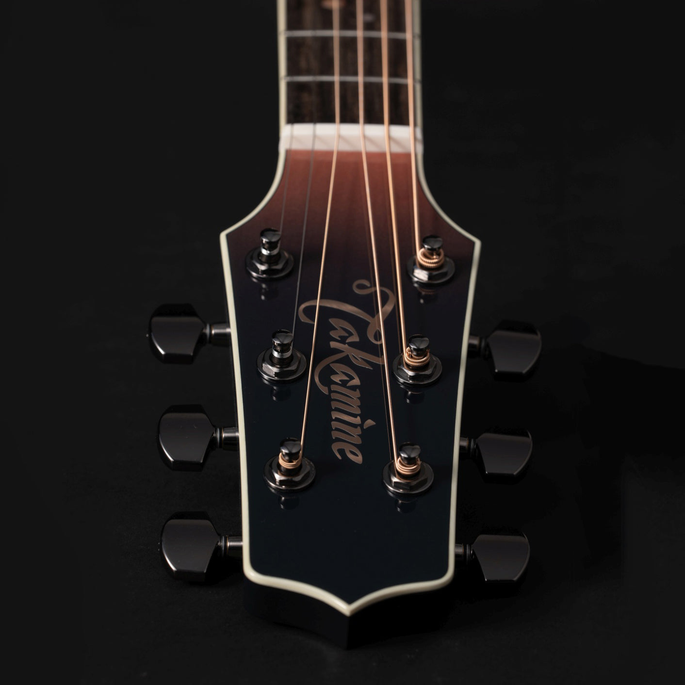 Takamine - LTD 2024 Penumbra Blue - Musik Utan Gränser 