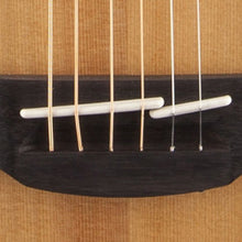 Load image into Gallery viewer, GN20-NS
