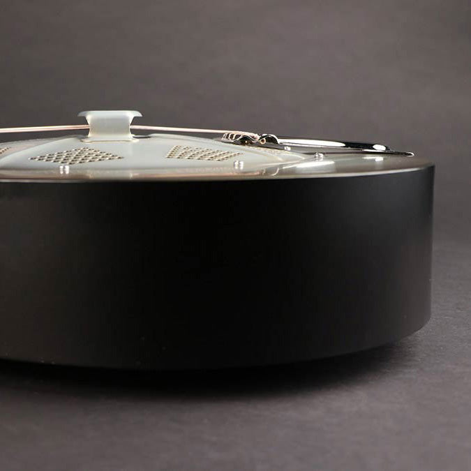Royall - Pony Boy PB12/ANI Single Cone 12 Fret Resonator - Musik Utan Gränser 