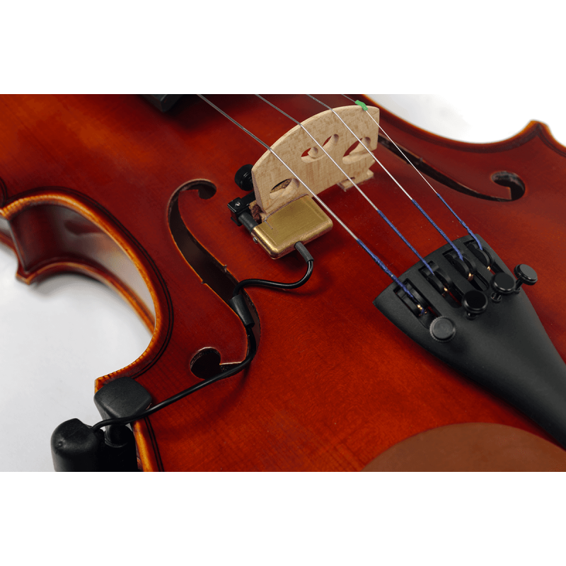 The Realist - RLSTVSC SoundClip för violin - Musik Utan Gränser 