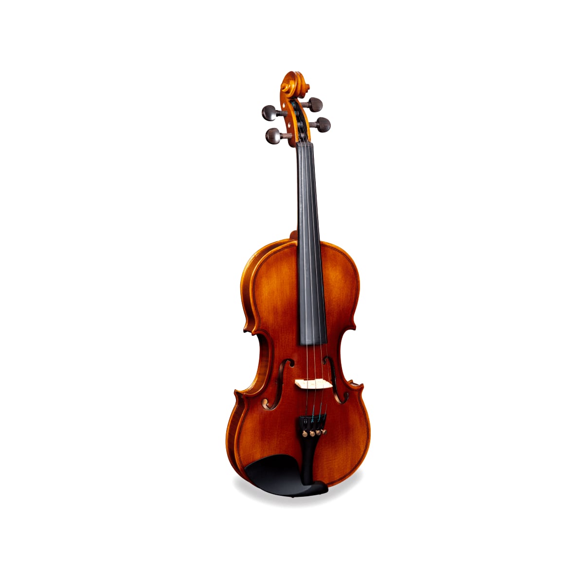 ORC-44 Violinset Virtuoso Orchestra 4/4