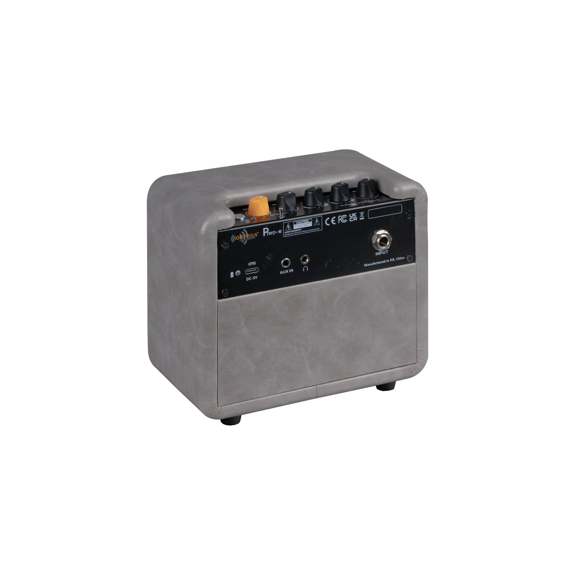 PTWO-E Electric Guitar 12w Practice Amp