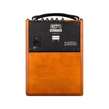 Ladda upp bild till gallerivisning, WD Acoustic 5 akustisk gitarrcombo 80 W
