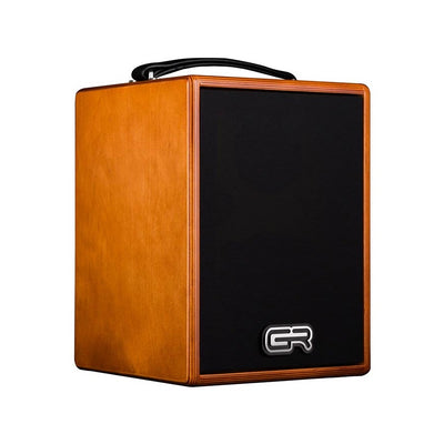 WD Acoustic 5 akustisk gitarrcombo 80 W