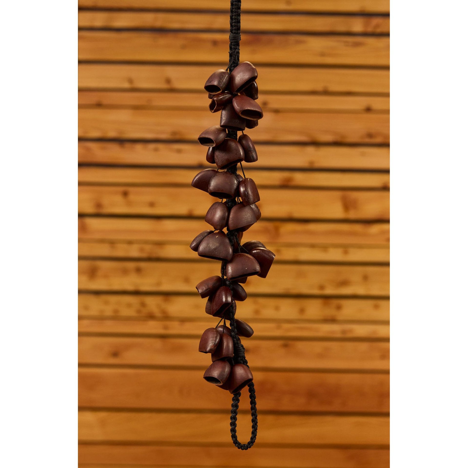 BI5 Bendo Bird Shaker, 40 Seeds