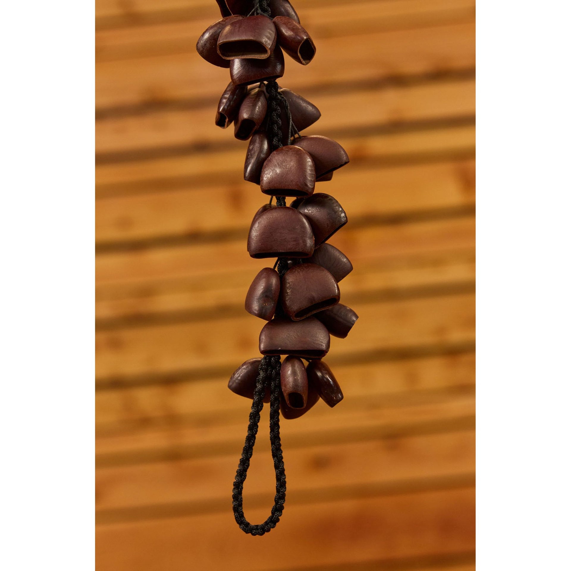 BI5 Bendo Bird Shaker, 40 Seeds