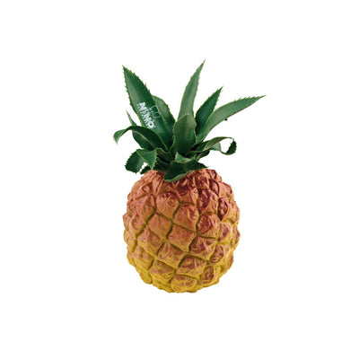 Nino - NINO595 Pinapple Shaker - Musik Utan Gränser 
