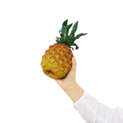 Nino - NINO595 Pinapple Shaker - Musik Utan Gränser 