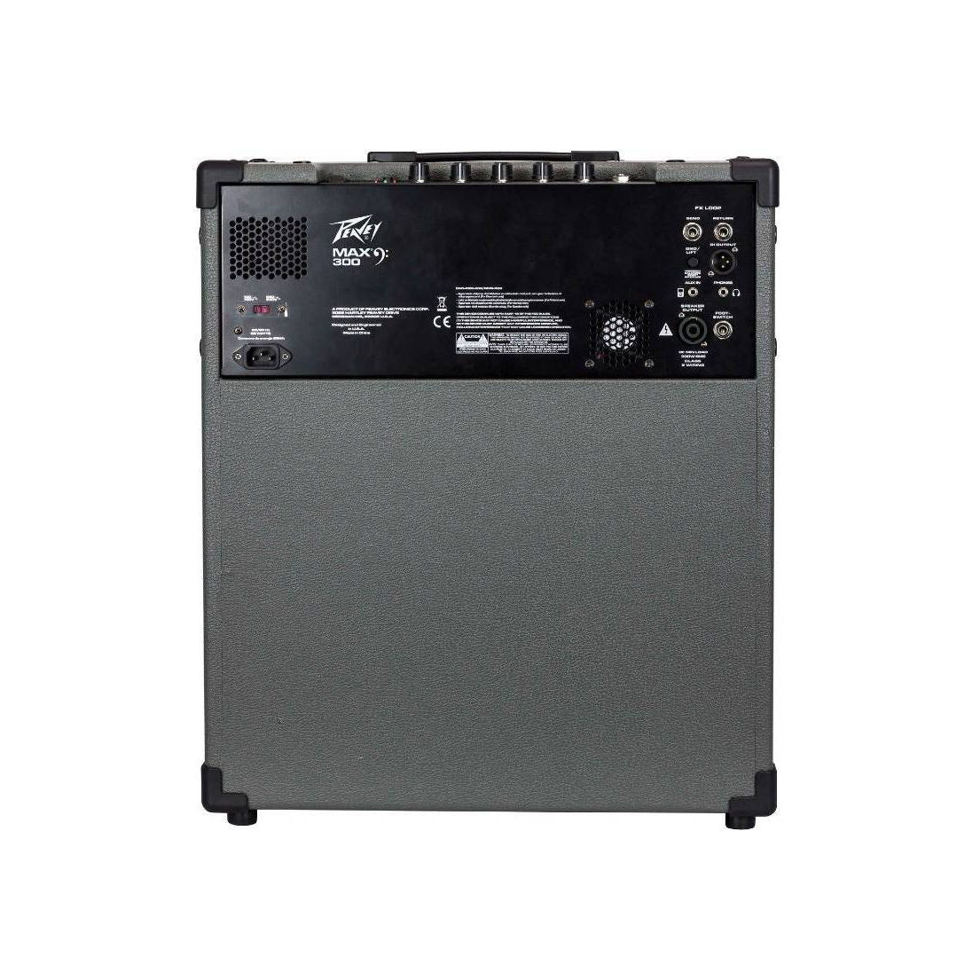MAX300 Basförstärkare