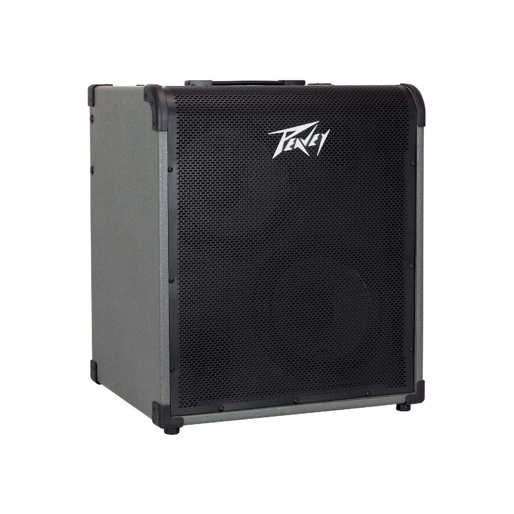 MAX300 Basförstärkare