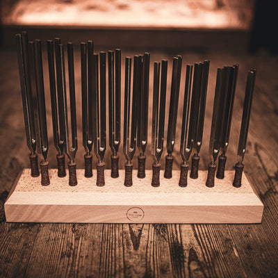 Meinl Sonic Energy - TTF-SET-16 Therapy Tuning Forks Set 16 pcs - Musik Utan Gränser 