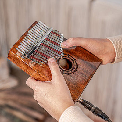 Meinl Sonic Energy - PKL1707H Kalimba C Major 17-Notes Acacia med pickup - Musik Utan Gränser 