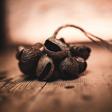 Load image into Gallery viewer, Meinl Sonic Energy - SPGRS Pangi Shaker Small - Musik Utan Gränser 
