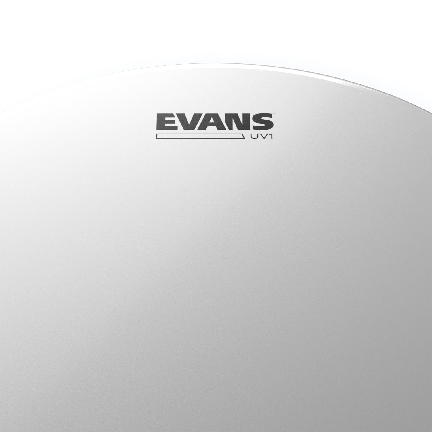 Evans - UV1 Coated pukskinn 8" B08UV1 - Musik Utan Gränser 