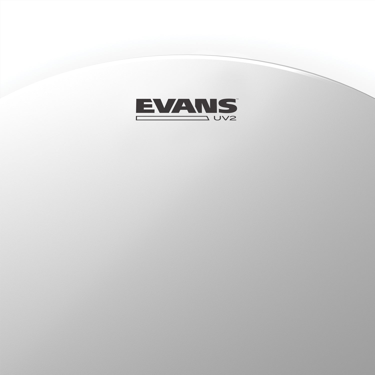 Evans - UV2 Coated pukskinn 8" B08UV2 - Musik Utan Gränser 