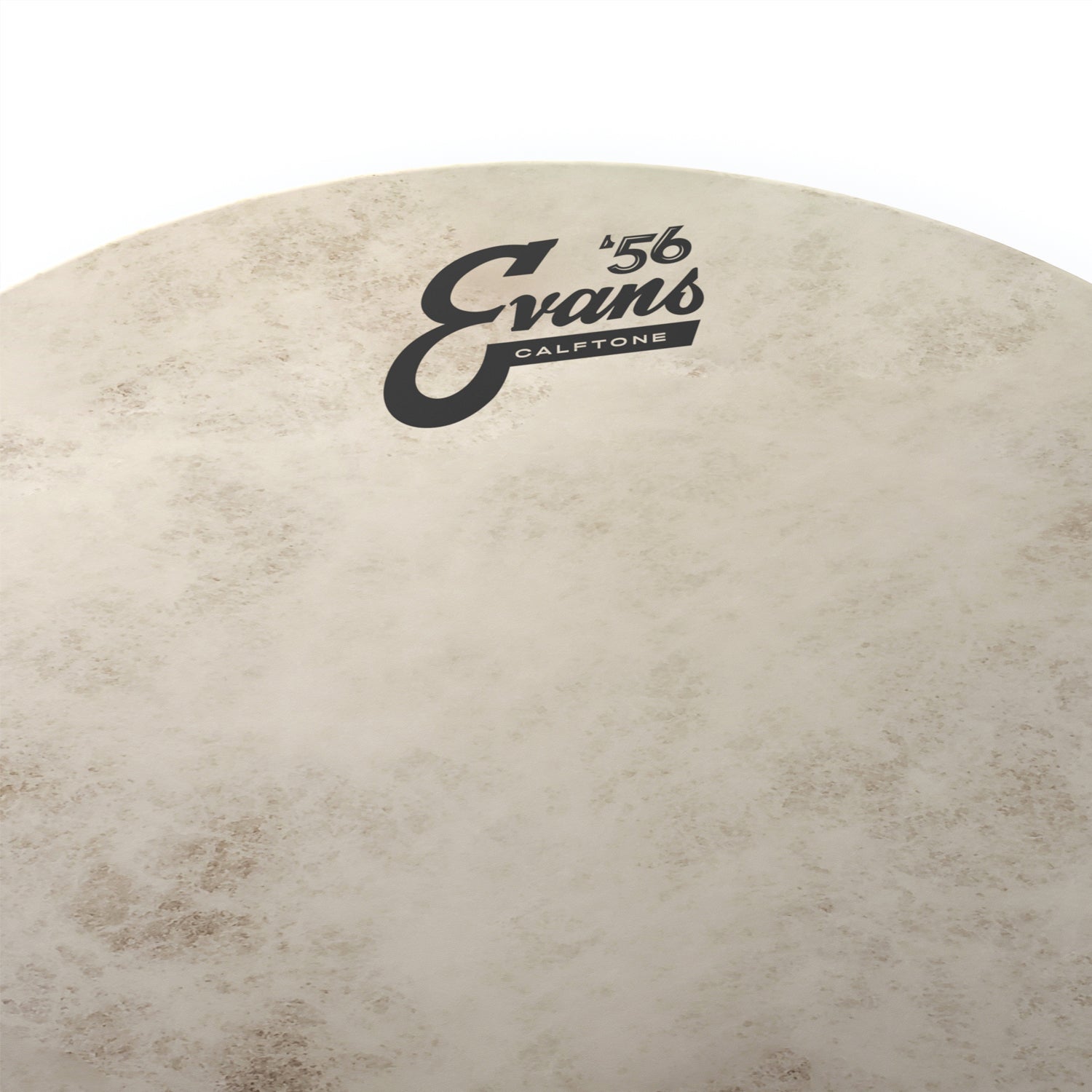 Evans - Calftone 8" TT08C7 - Musik Utan Gränser 