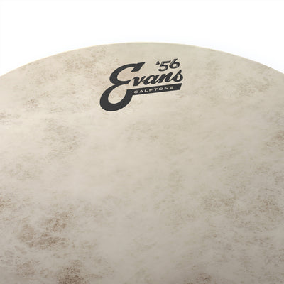 Evans - Calftone 8" TT08C7 - Musik Utan Gränser 