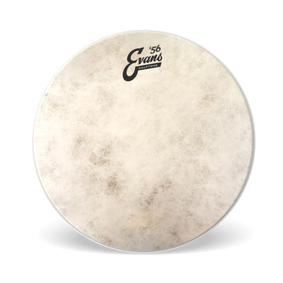 Evans - Calftone 16" TT16C7 - Musik Utan Gränser 