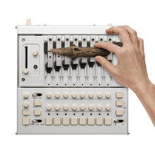 Ladda upp bild till gallerivisning, Phase8 Limited Edition
