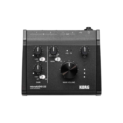 MicroAUDIO 22