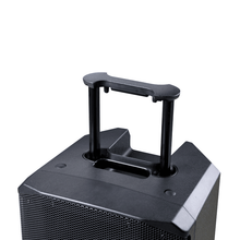 Load image into Gallery viewer, ProVibe 12 AIR
