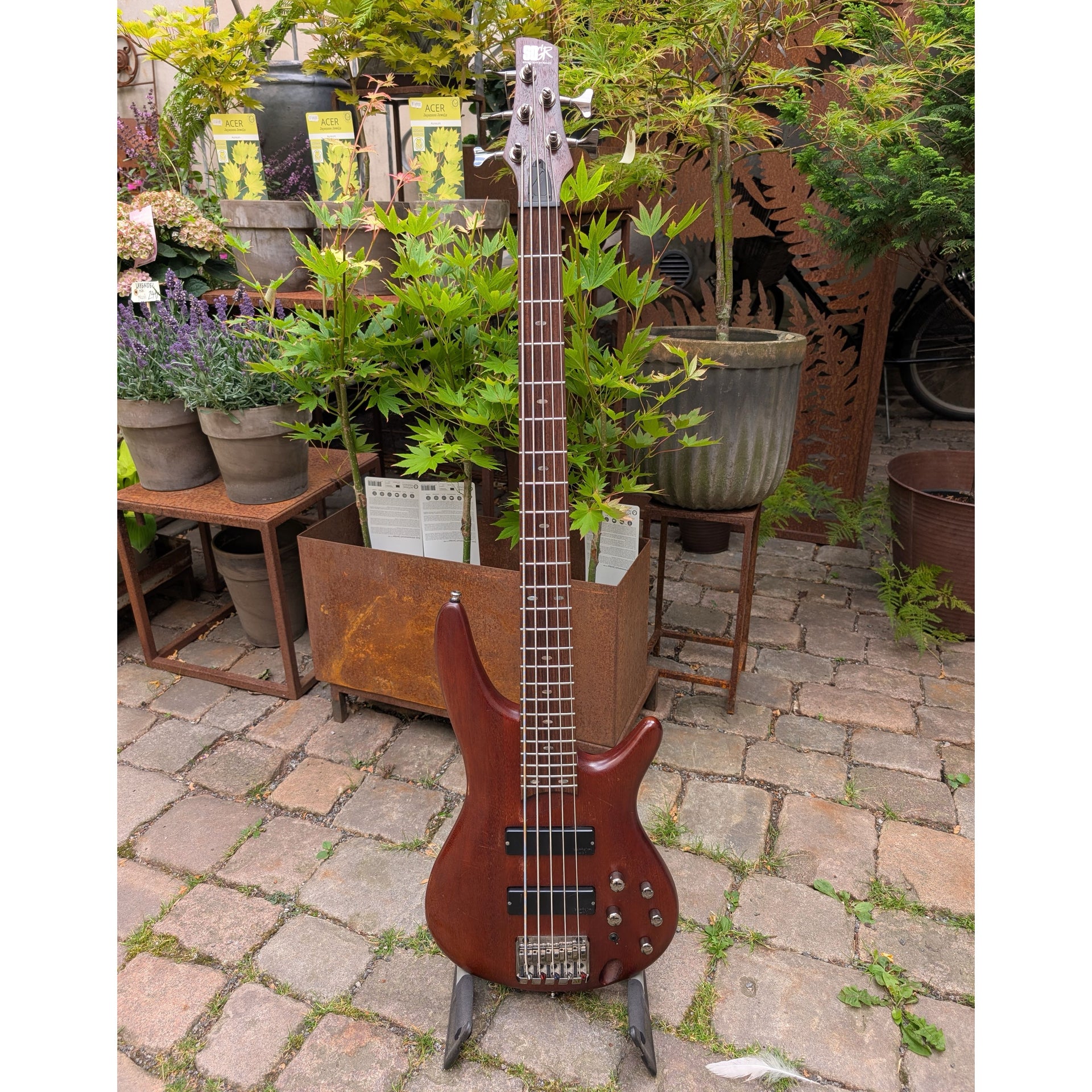 SR505 Mahogny
