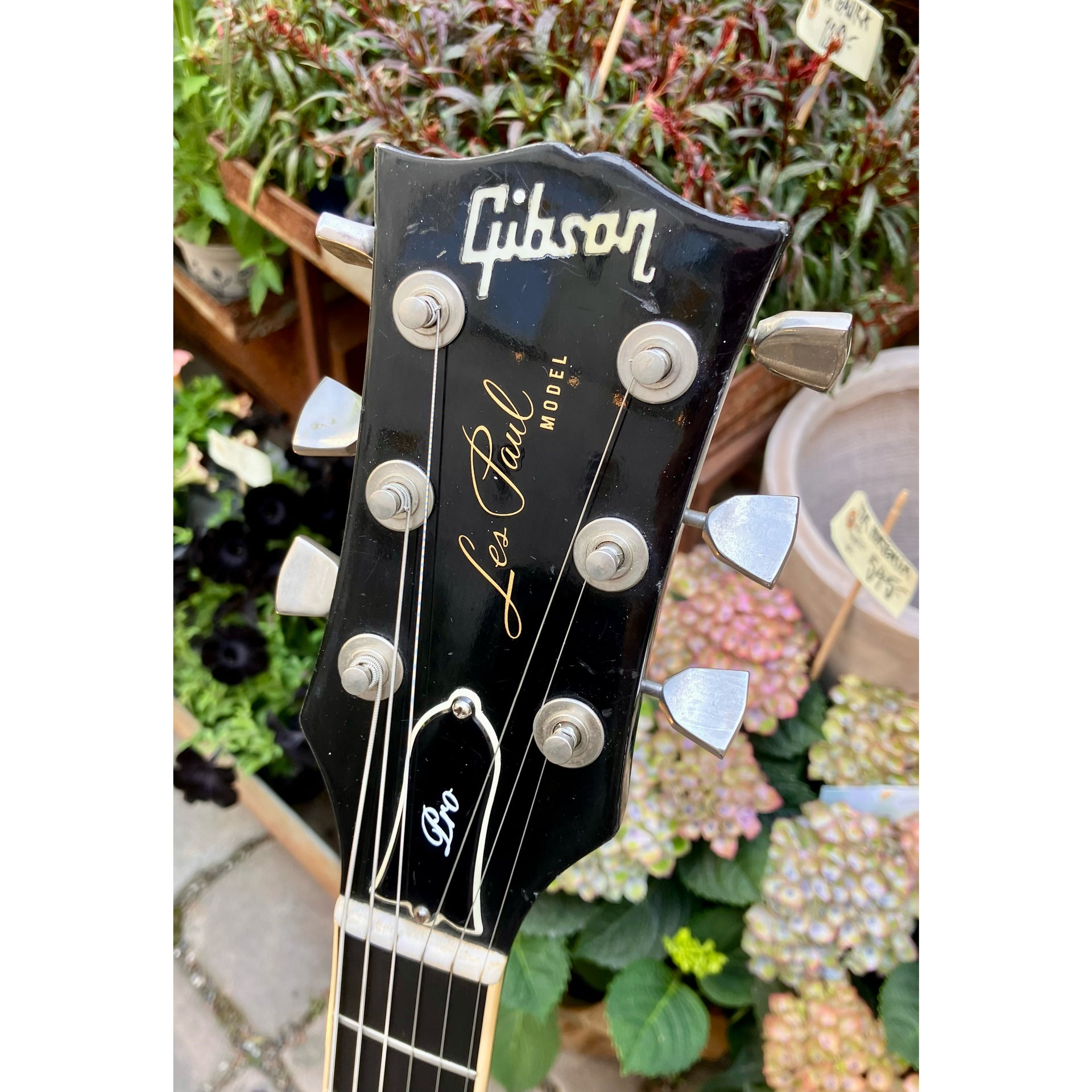 Les Paul Deluxe Pro 1976