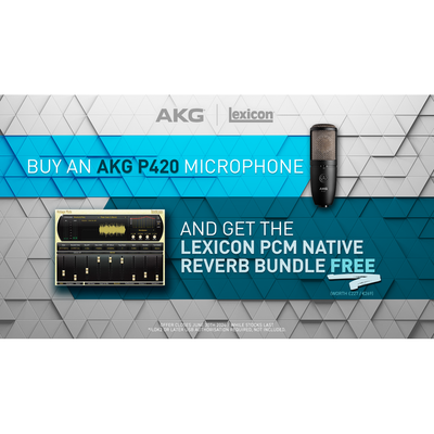 P420 Dual-Large-Diaphragm True Condenser Mic