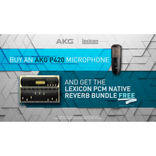 Load image into Gallery viewer, P420 Dual-Large-Diaphragm True Condenser Mic
