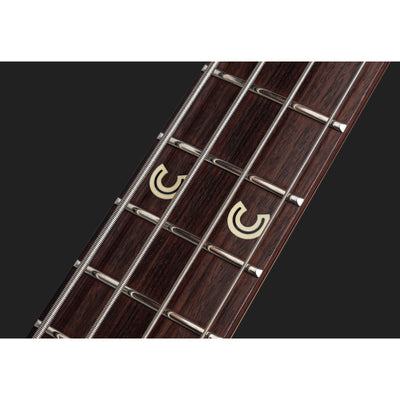 Chris Chaney Bass Gold Sparkle